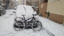 IMG_20150108_112913.jpg IMG_20150108_112913.jpg