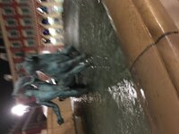 IMG_0770.JPG IMG_0770.JPG