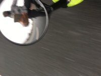 IMG_0954.JPG IMG_0954.JPG