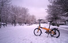 DSC_1811.jpg DSC_1811.jpg