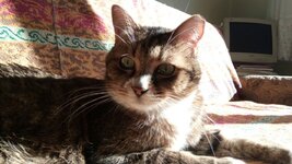 WhatsApp Image 2017-01-06 at 11.40.10.jpeg