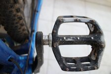pedal.jpg