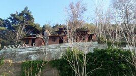 IMG_5556.JPG