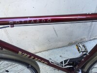 _Villiger_2.jpg _Villiger_2.jpg