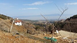20170220_114712.jpg