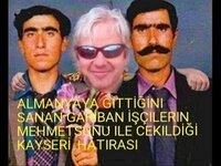 aviary-image-1487848574321.jpeg