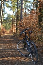 2016-12-11 19.48.21.jpg