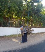 image.jpeg image.jpeg