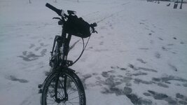 15871581_10155110500114410_6487650678510610316_n (1).jpg