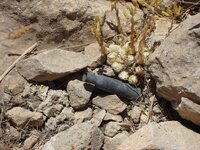 DSC00335.JPG DSC00335.JPG