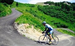 image.jpeg image.jpeg