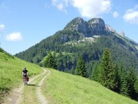 Long Haul Trucking in Switzerland - CC-BY-NC 2.0 chrisbwah-Flickr.jpg