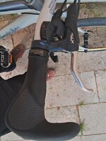2017-04-13_10-08-22_HDR.jpg