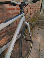 2017-04-13_10-11-03_HDR.jpg