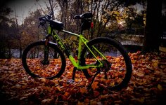 Cube Attention SL-4.jpg