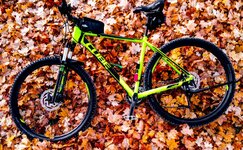 Cube Attention SL-5.jpg