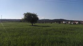 IMG_20170424_172857.jpg IMG_20170424_172857.jpg