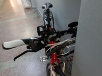 WhatsApp Image 2017-04-27 at 08.43.14.jpeg