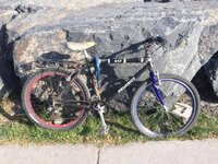 18281021_1323083791114869_287494560_n.jpg 18281021_1323083791114869_287494560_n.jpg