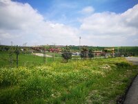 IMG_20170507_114646.jpg