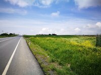 IMG_20170507_114652.jpg