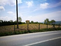 IMG_20170507_114949.jpg