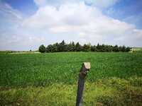 IMG_20170507_114955.jpg