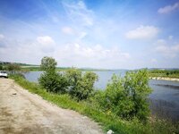 IMG_20170507_115347.jpg