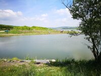 IMG_20170507_120244.jpg
