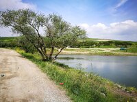 IMG_20170507_120248.jpg