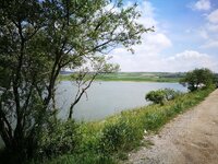 IMG_20170507_120307.jpg