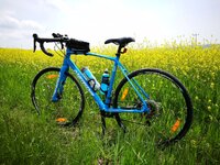 IMG_20170507_124641.jpg