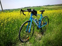 IMG_20170507_124654.jpg