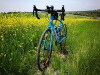 IMG_20170507_124707.jpg