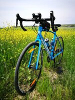 IMG_20170507_124718.jpg