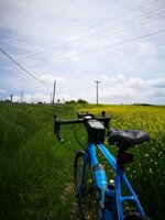 IMG_20170507_124901.jpg