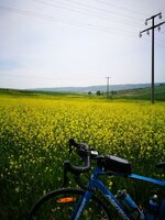 IMG_20170507_124911.jpg
