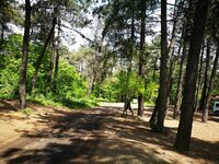 IMG_20170507_134809.jpg