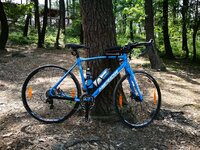 IMG_20170507_135039.jpg