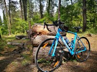 IMG_20170507_135310.jpg