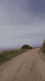 Gündoğdu toprak yol.png