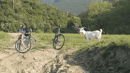 Topağaç bakir kumsal.png