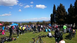 DSC_8920.JPG