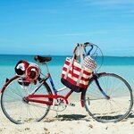 original.jpg original.jpg