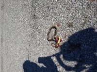 20170616_164113.jpg