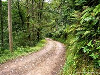 Komondonun_yerine_gider-_Come_enjoy_nature_of_Demrihisar.jpg Komondonun_yerine_gider-_Come_enjoy_nature_of_Demrihisar.jpg