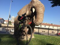 IMG_2118.JPG IMG_2118.JPG