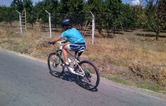IMG-20120820-00155.jpg