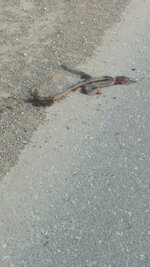 20150418_184910.jpg