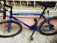 FullSizeRender (1).jpg